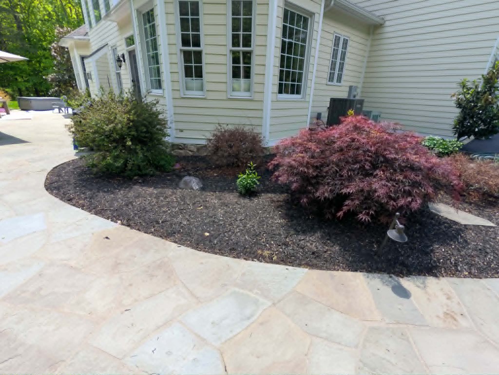 Flagstone patio with curved dark mulch bed and Japanese maple planting