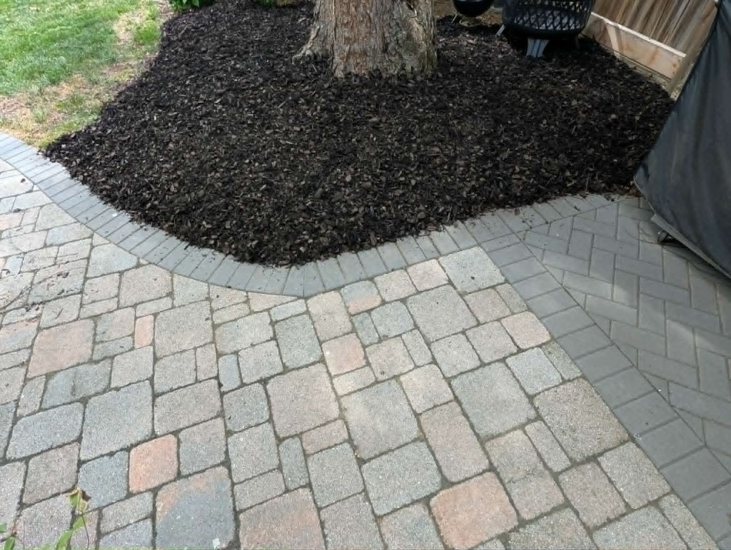 Tree ring mulch installation bordered by multi-tone paver patio