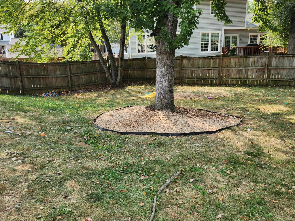 Tree ring installation with gravel fill and clean black landscape edging