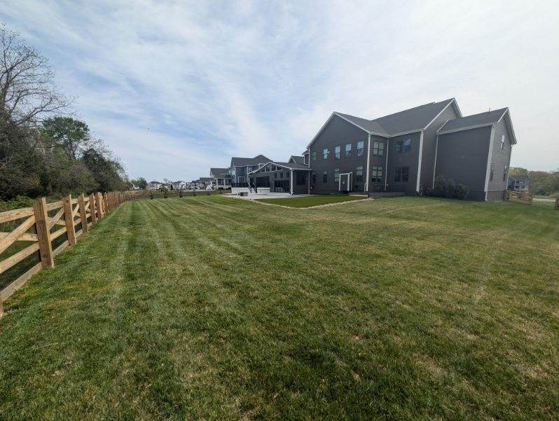 Backyard lawn maintenance
