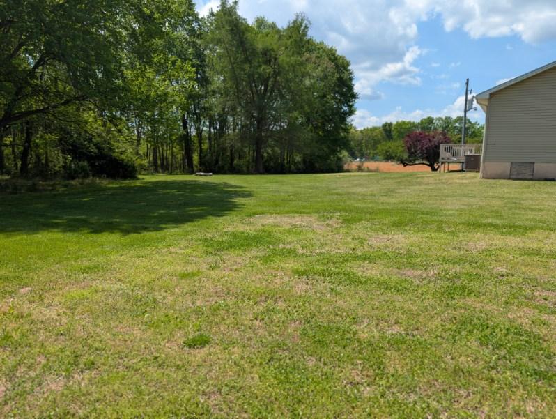 Large backyard lawn with mowing stripes