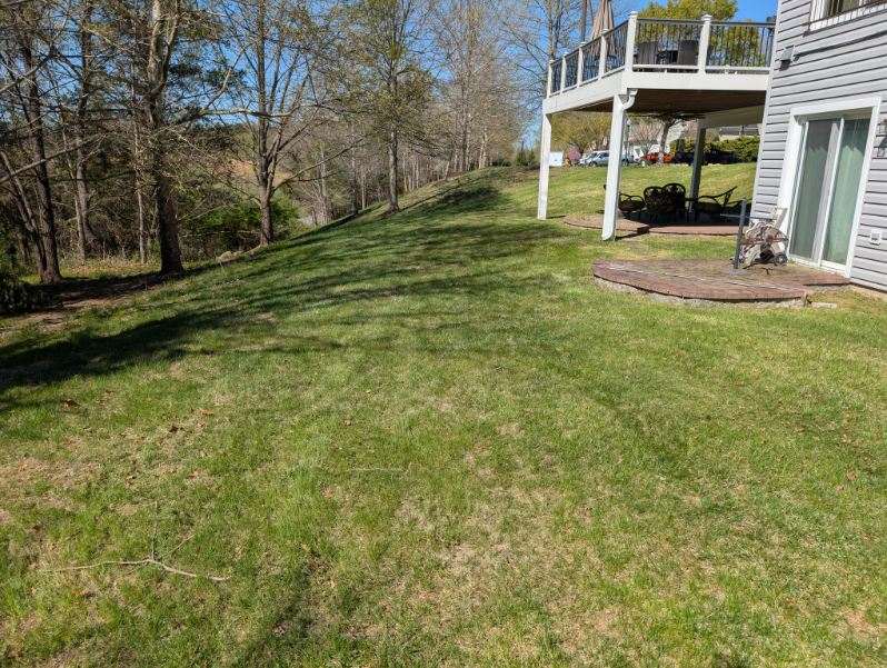 Curved lawn mowing with clean lines