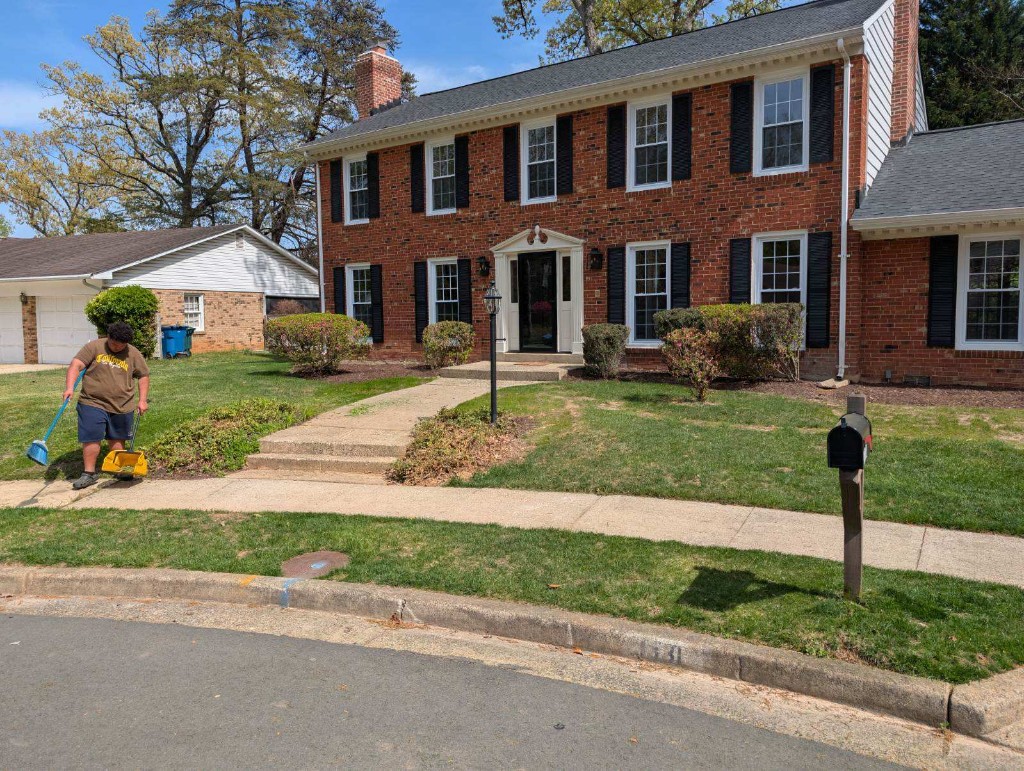Freshly mowed lawn with clean striping patterns