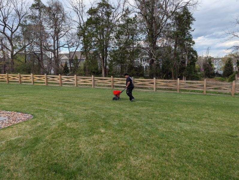 Manicured lawn bordered by trees