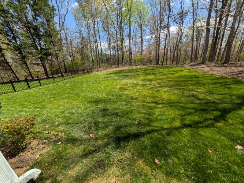 Residential lawn mowing and maintenance