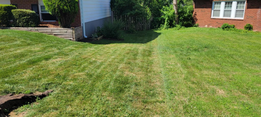 Backyard lawn with professional mowing stripes and clean cut lines