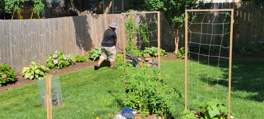 Londyn mowing a backyard lawn with raised garden beds and trellises