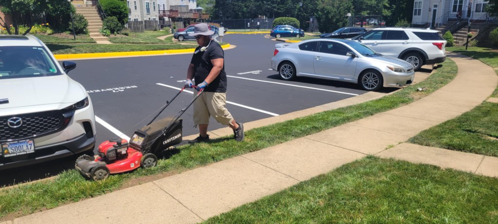 Londyn mowing a grass strip along a commercial parking lot