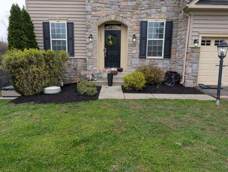 Fresh mulch installation with green shrubs along a residential walkway
