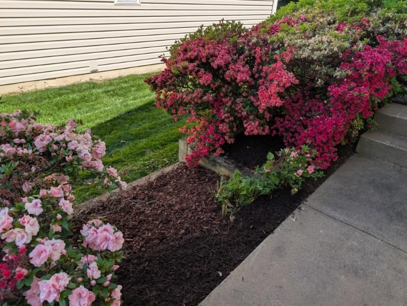 Mulched bed with river rock edging and flagstone patio