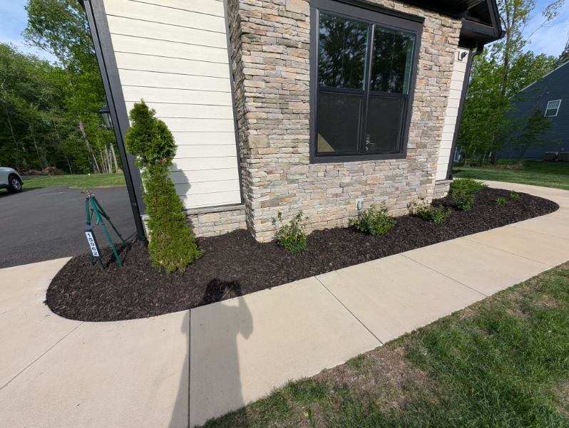 Black mulch bed with shrubs and stone border