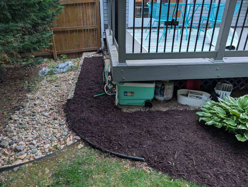 Circular mulch ring around an evergreen tree