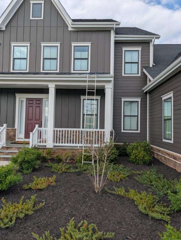 Mulch installation with flowering shrubs and walkway
