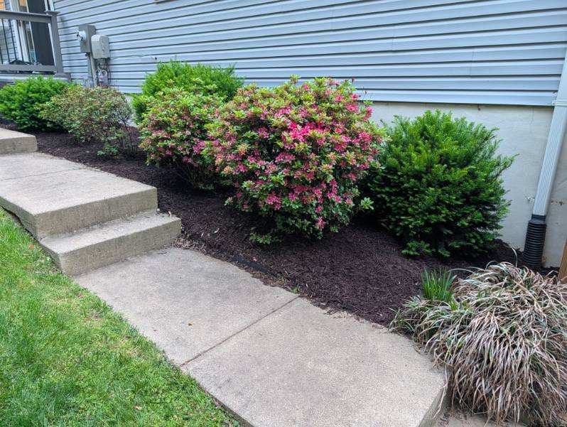 Professional mulch and landscaping bed refresh
