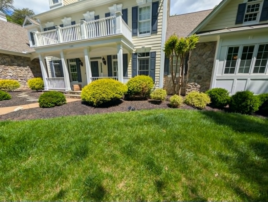 Foundation planting bed with dark mulch and ornamental shrubs